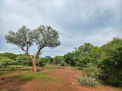 Ben Alberts Nature Reserve
