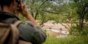 Africa on Foot Wilderness Trail