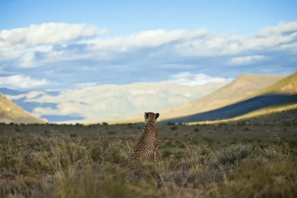Samara Karoo Reserve
