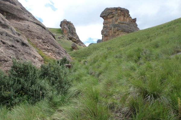 Thamathu and Lammergeier Cave Hike