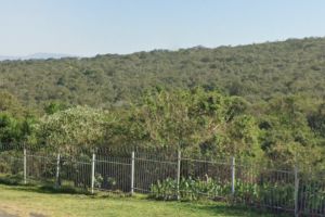 King William's Town Nature Reserve