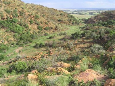 Suikerbosrand Nature Reserve