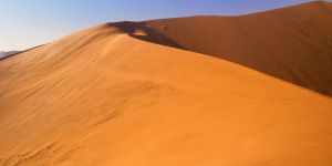 Big Daddy Dune