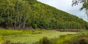 Leeuwkloof Valley Conservancy