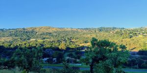 Little Falls Ridge Nature Reserve