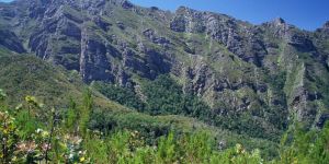 Boosmansbos Wilderness Area
