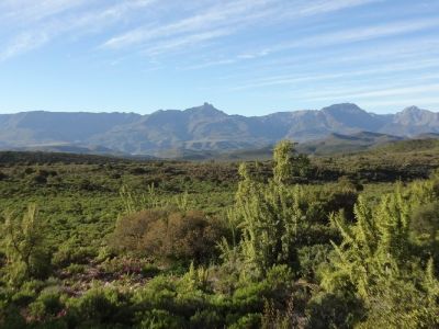Buffelsdrift Conservancy