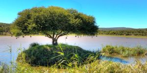 Great Fish River Nature Reserve