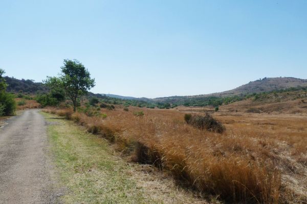 Groenkloof Nature Reserve