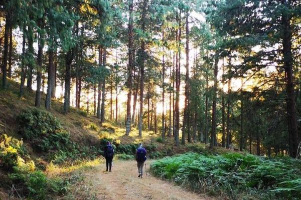 Fanie Botha Hiking Trail, Sabie