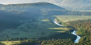 Kariega Game Reserve