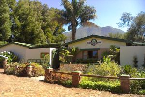 Andelomi Forest Lodge