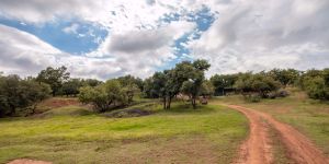 Magalies Wild Game Farm