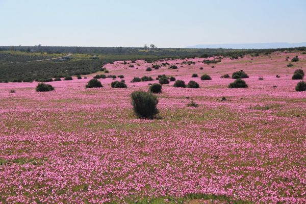 Avontuur Nature Reserve