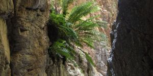 Waterkloof Hiking Trial, Baviaanskloof