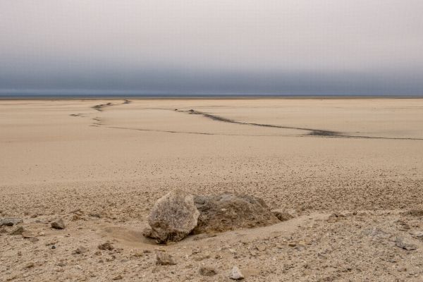The Namib100 Hike