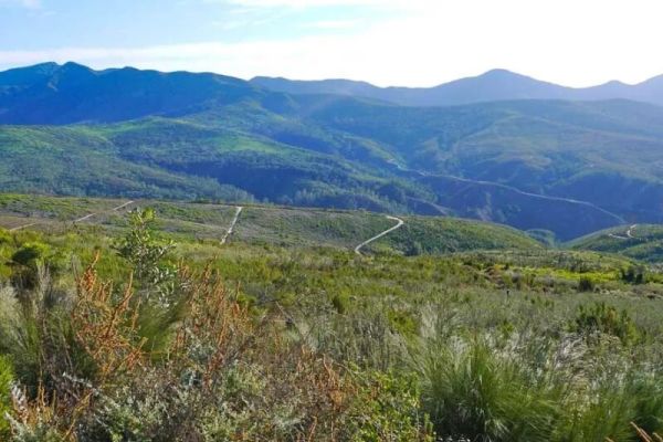 Outeniqua Hiking Trail