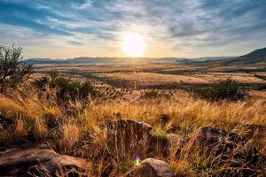 Glen Harry Game Reserve