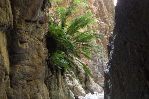 Waterkloof Hiking Trial, Baviaanskloof