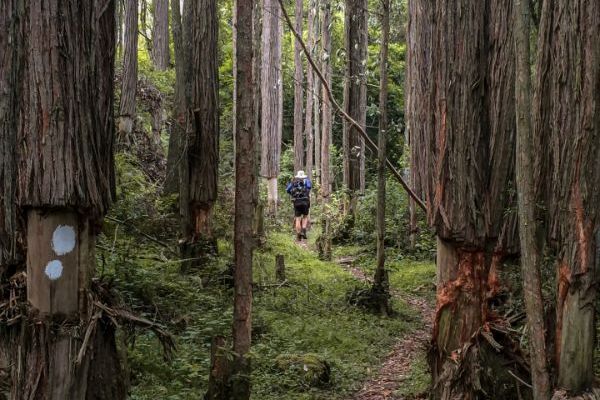 Magoebaskloof Hiking Trail