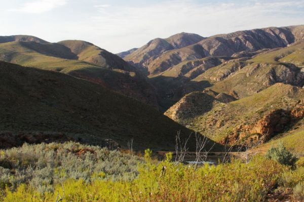 The Leopard Trail