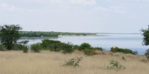 Sandveld Nature Reserve