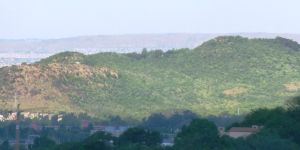Faerie Glen Nature Reserve