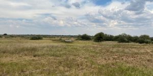 Leon Taljaard Nature Reserve