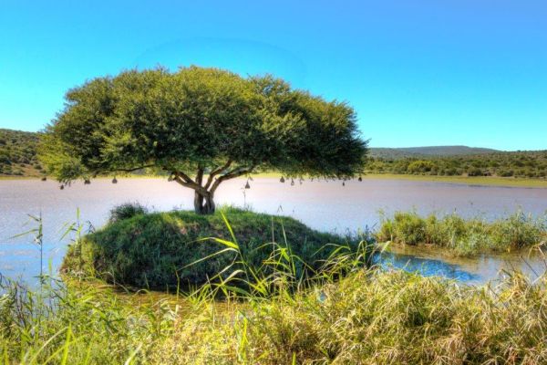 Great Fish River Nature Reserve