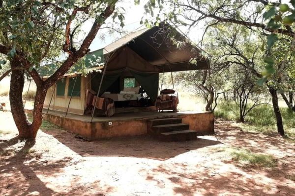 Thwane Bush Camp