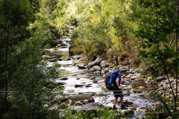 Outeniqua Hiking Trail