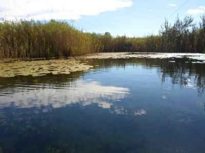 Molemane Eye Nature Reserve