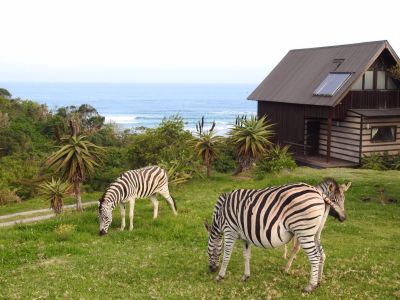 Hluleka Nature Reserve