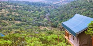 Inkwenkwezi Private Game Reserve