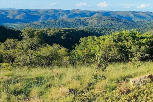 Thwane Bush Camp