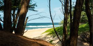 Cape Vidal