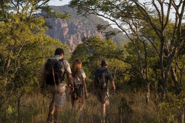 Leshiba Wilderness Hiking Trails