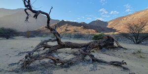 Damaraland Camino