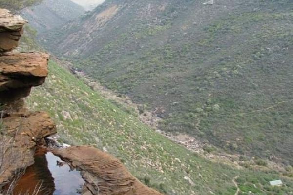 Oorlogskloof Rock Pigeon Trial