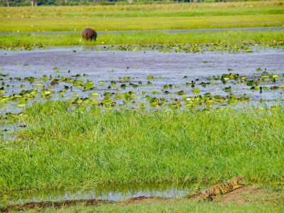 Bwabwata National Park