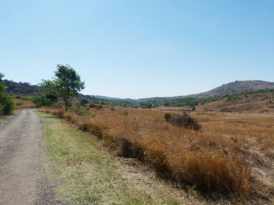 Groenkloof Nature Reserve