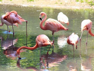 Barberspan Bird Sanctuary