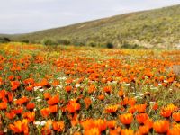Namaqua Silver Sands Trail