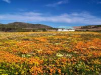 Namaqua Flower Hunt Hiking Trail