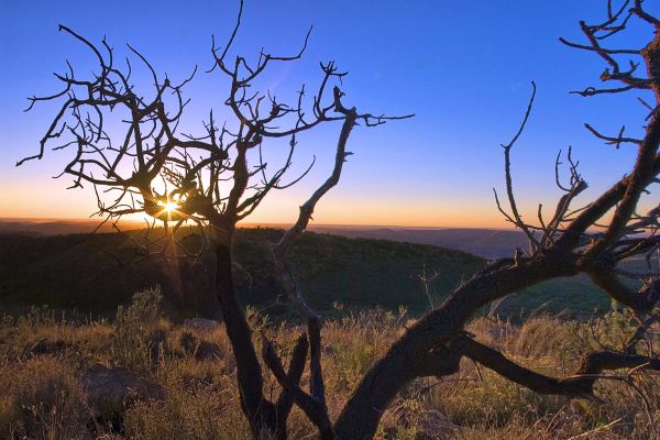 Thwane Bush Camp