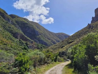 Fernkloof Nature Reserve