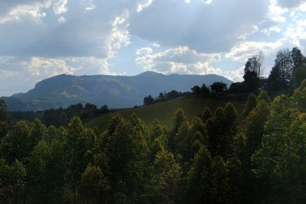 Fanie Botha Hiking Trail, Sabie