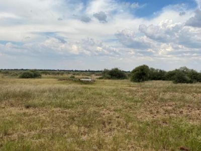 Leon Taljaard Nature Reserve