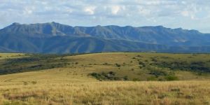 Mpofu Nature Reserve