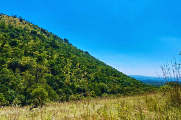 Aasvoëlbad Hiking Trails